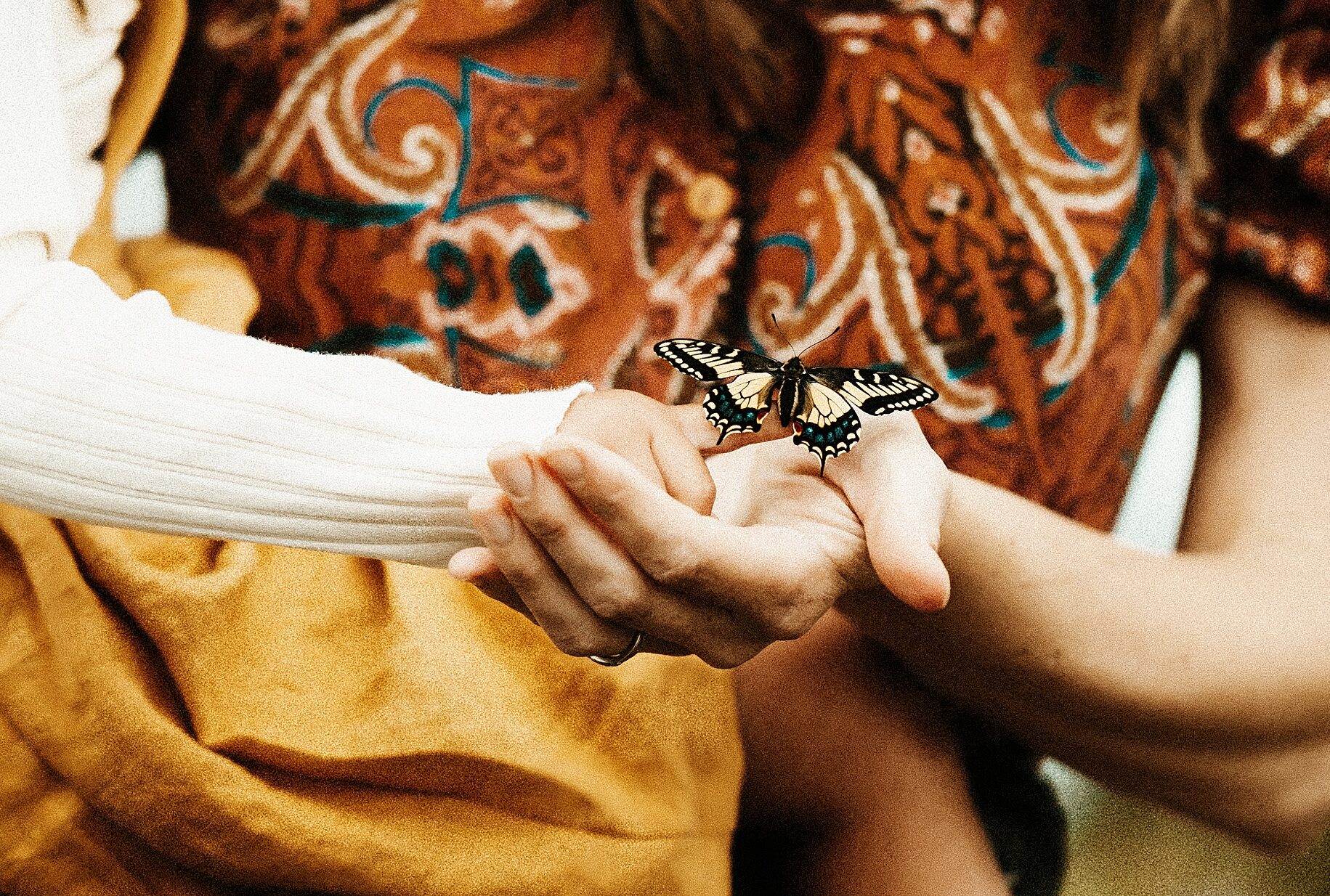 close up of a butterfly sitting on little girls finger fine art artistic moody family photography