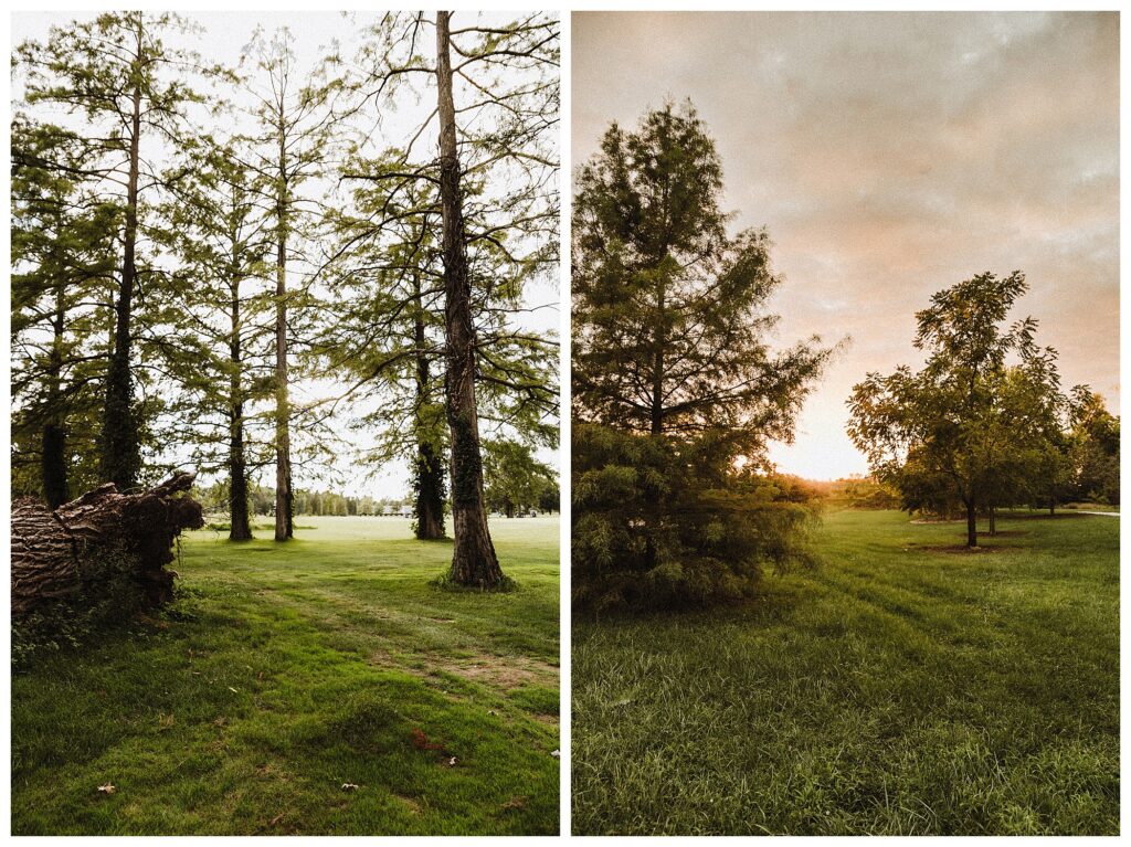 Lagoon Drive Forest Park best spots for engagement sessions STL wedding photographer