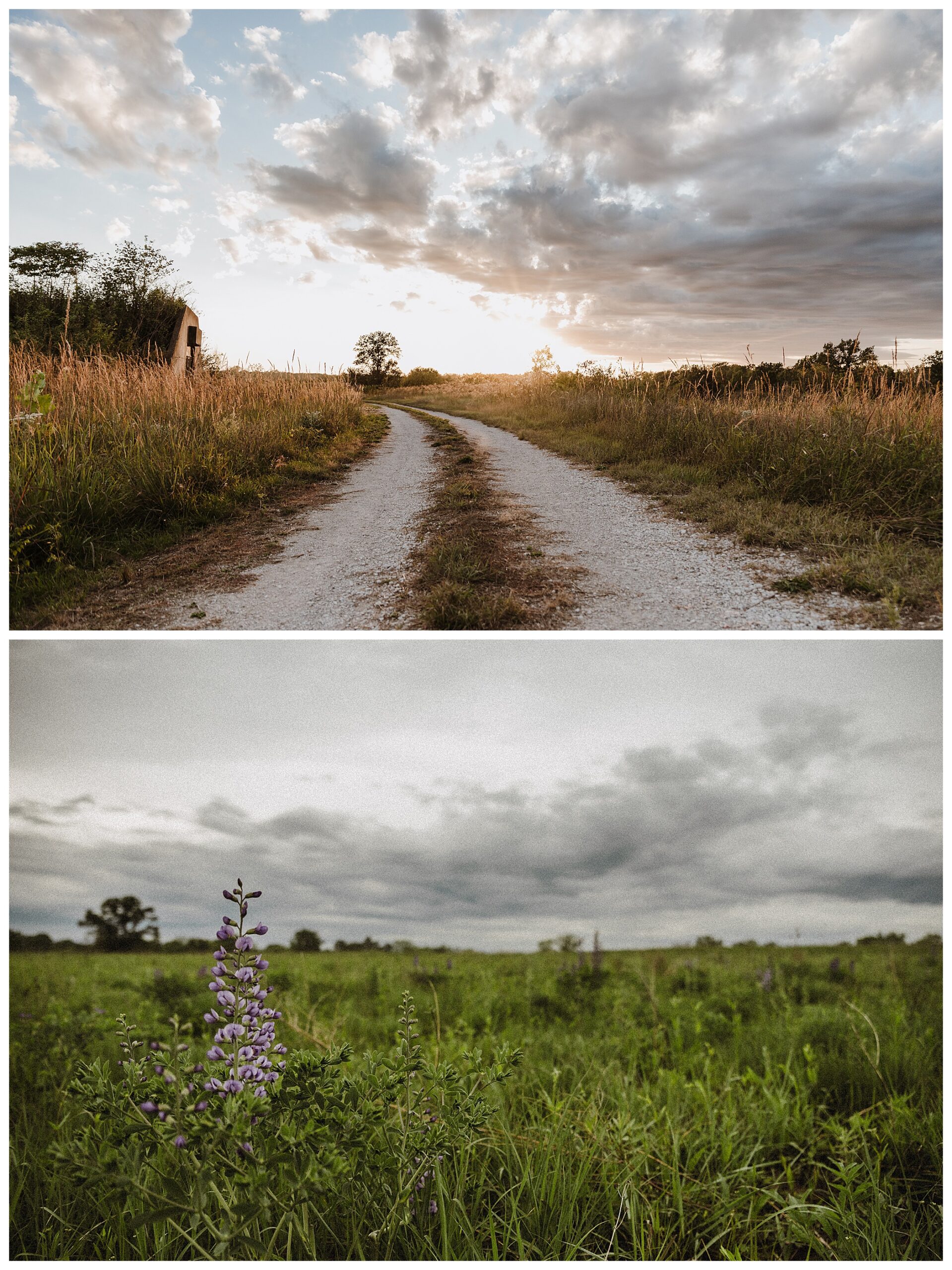 Busch wildlife trail and perfect overlook for engagement session during golden hour St. Louis Missouri O'fallon MO