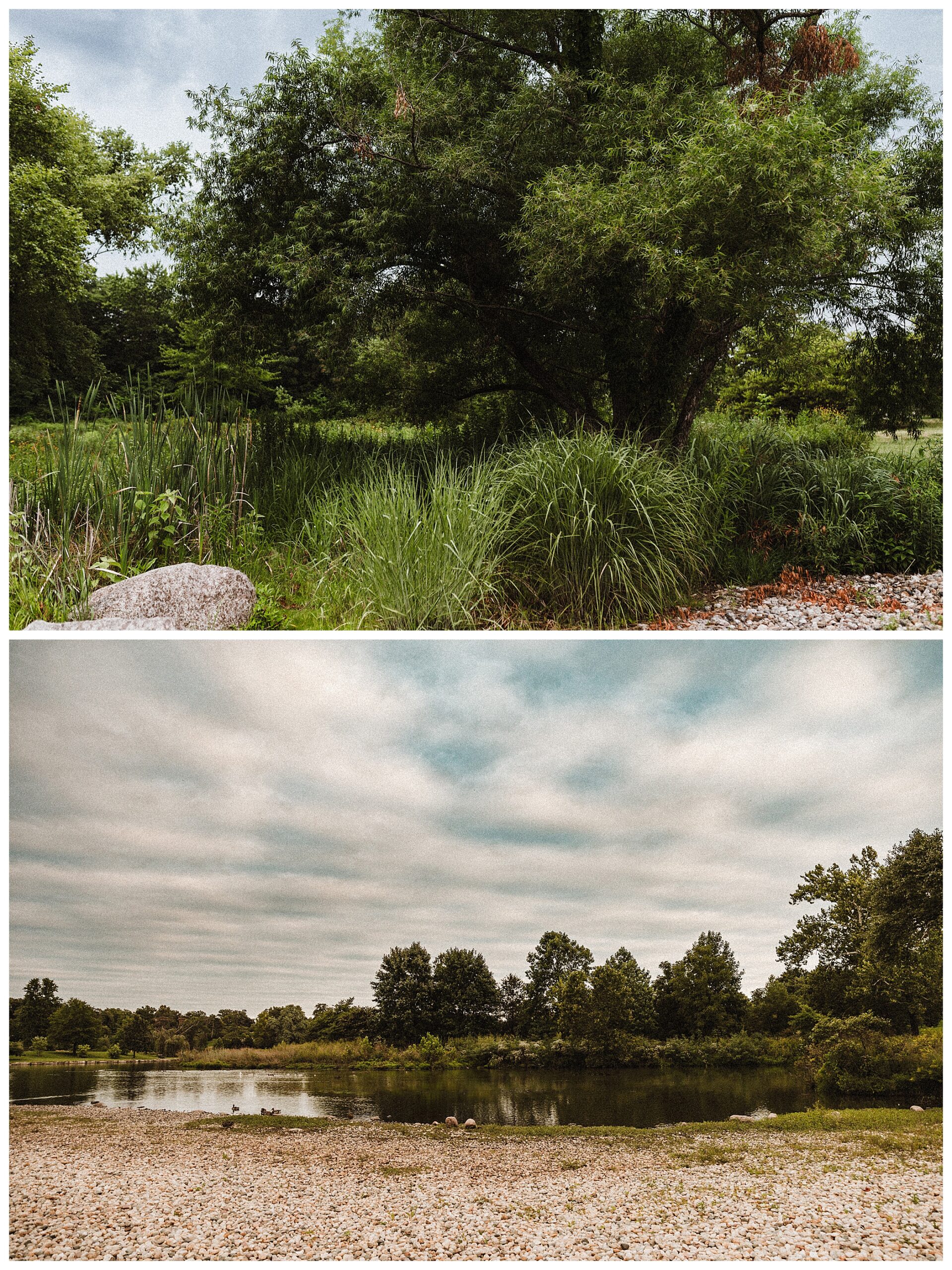 Forest Park Wildlife Island best outdoor engagement park location in St Louis Missouri lake and water tall grass wedding photographer