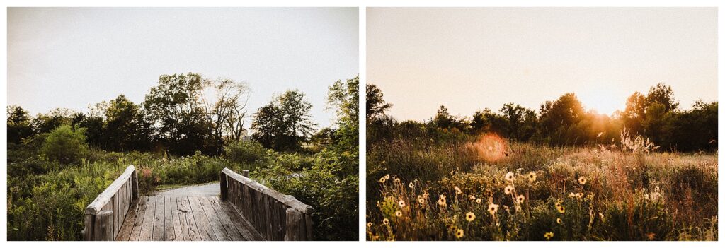 Towne Park wooden bridge and sunset at wildflower field STL wentzville foristell missouri wedding photographer