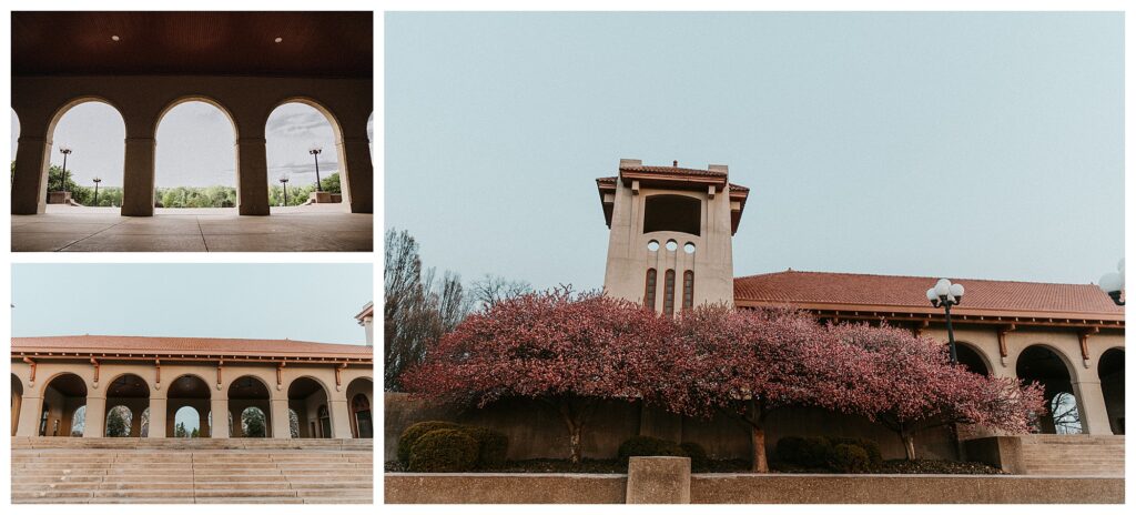 Worlds Fair Pavillion St Louis Missouri engagement location in Forest Park STL wedding photographer