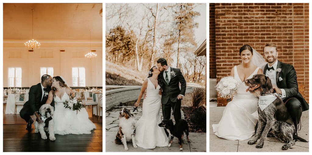 bride and groom portraits with their dogs pet friendly wedding and engagement photographer St Louis Missouri