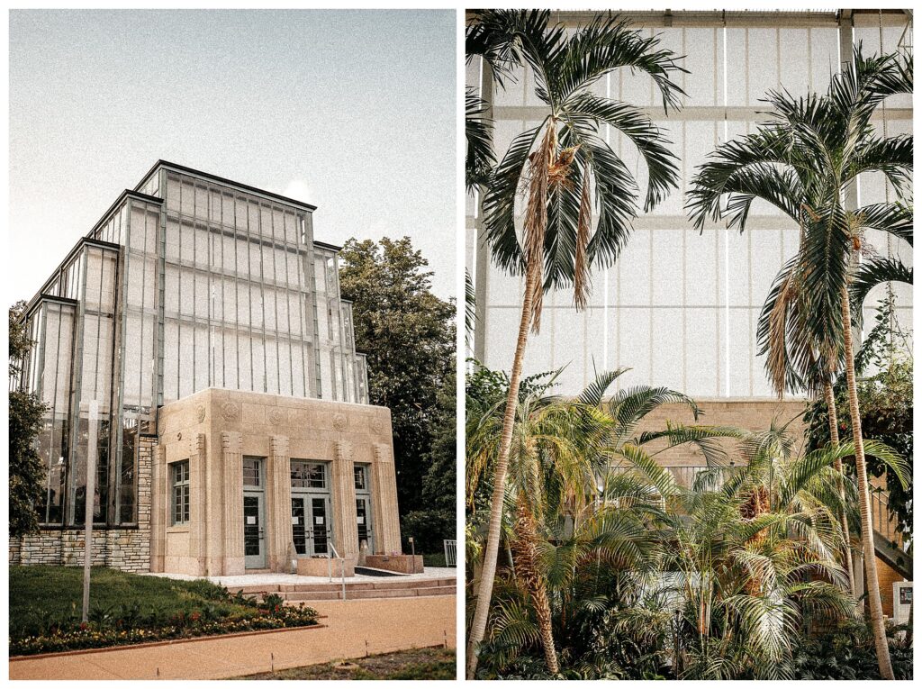 Tropical Art Deco inspired wedding and ceremony venue with palm trees in STL Missouri Forest Park wedding photographer